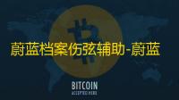 蔚蓝档案伤弦辅助-蔚蓝档案无限技能伤弦免费版工具